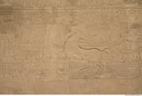 Photo Texture of Karnak 0129